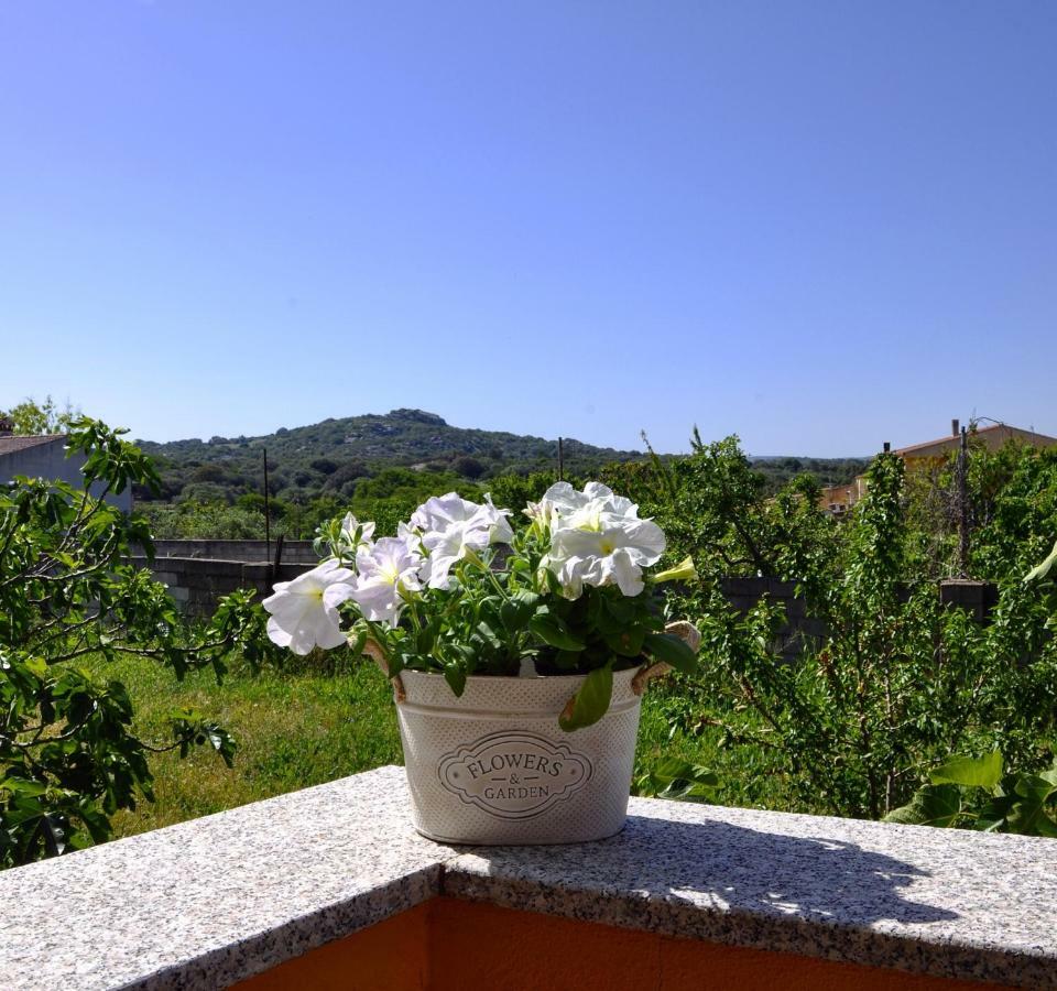 Casa Duminicheddha, Mare E Relax In Gallura Bassacutena Luaran gambar